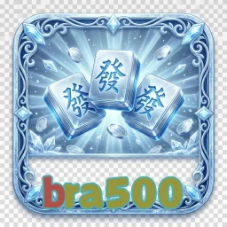 bra500